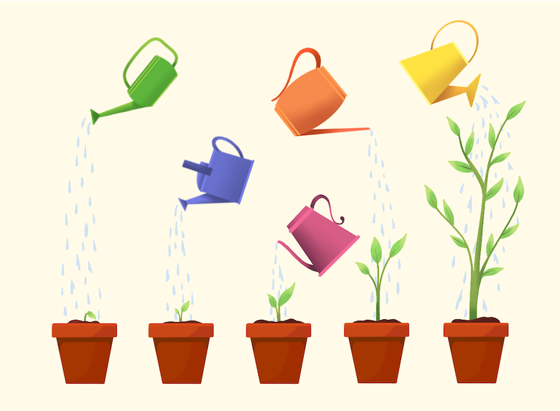 Five pots with plants in different stages of growth being watered.